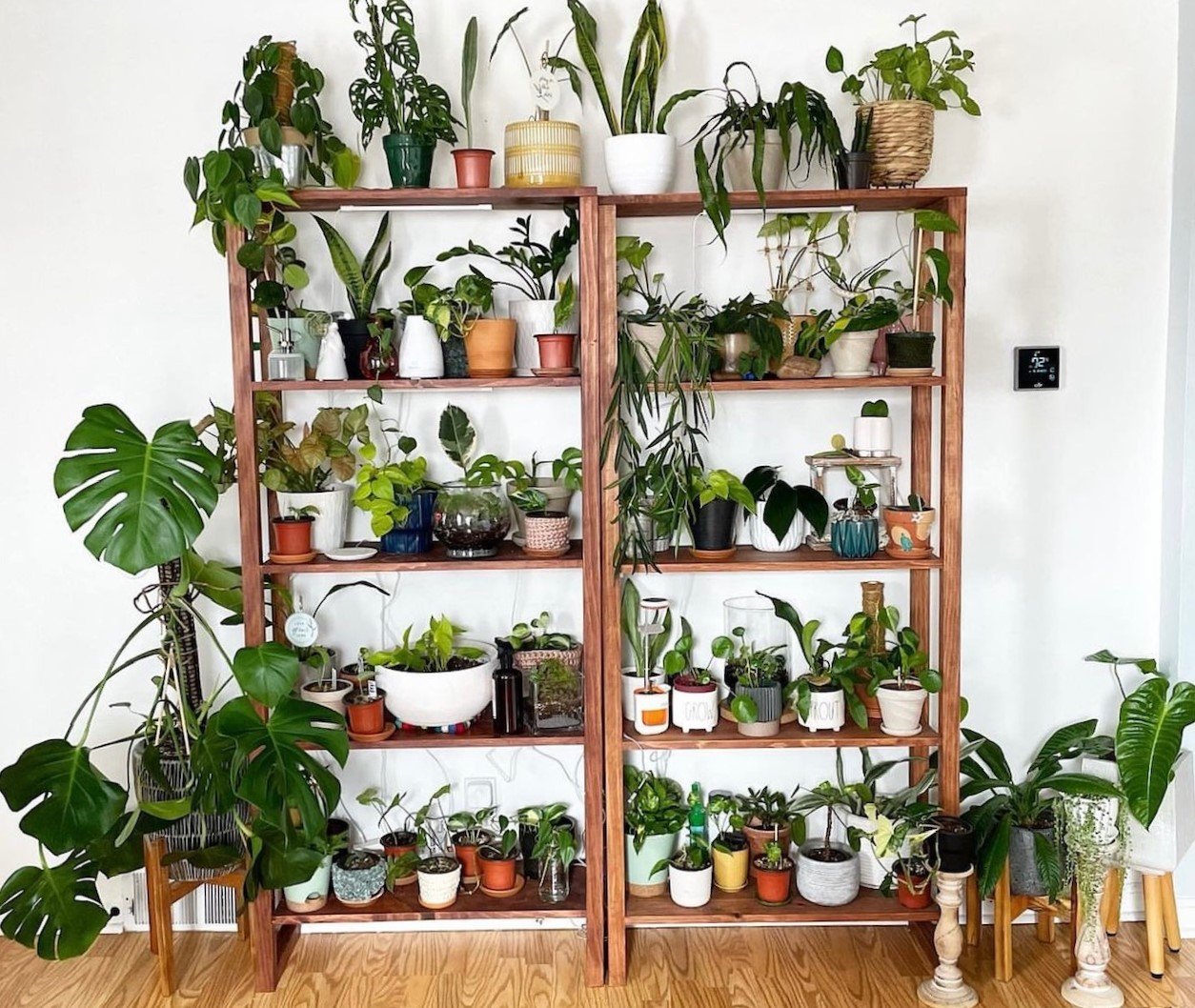plant display shelves
