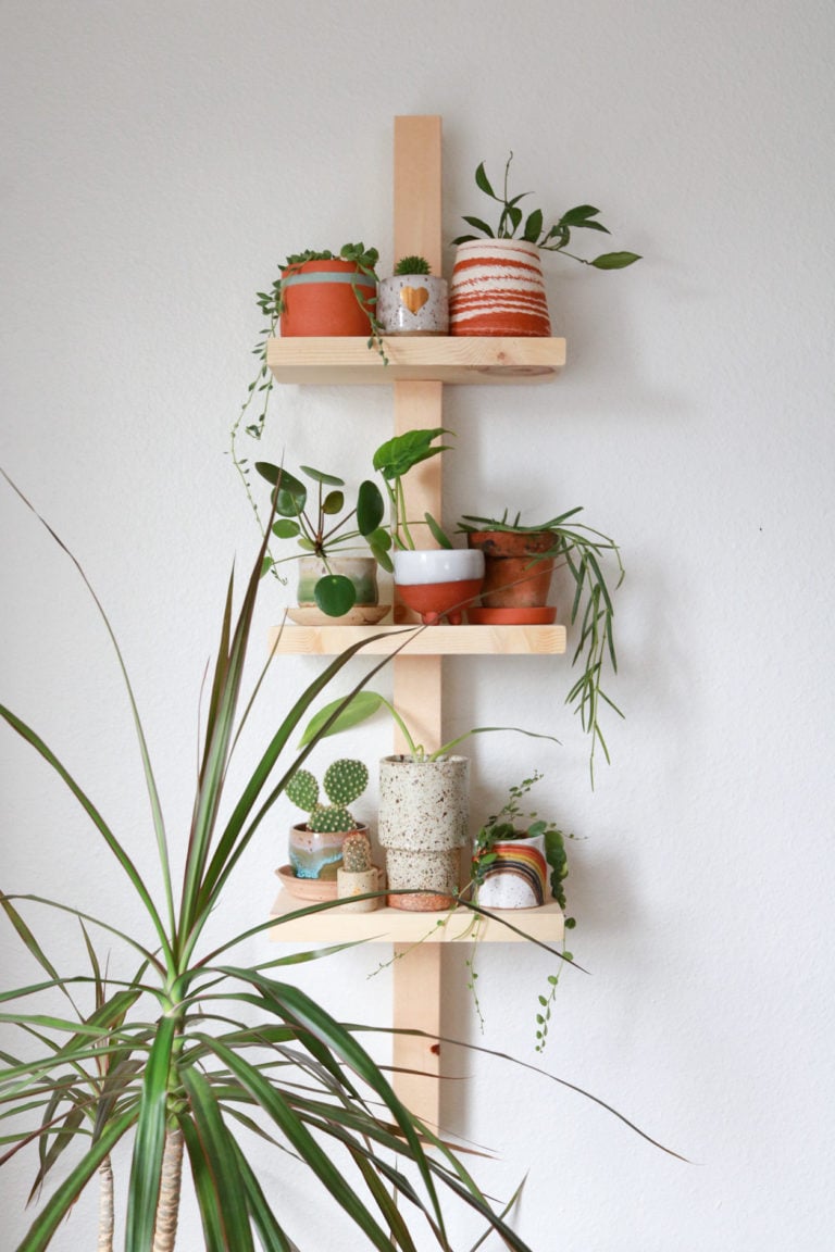 wall mounted plant shelves