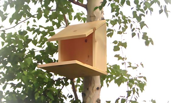 open bird nestng house