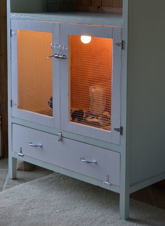 Ana White | Build a Chick Brooding Cabinet | Free and Easy DIY Project 