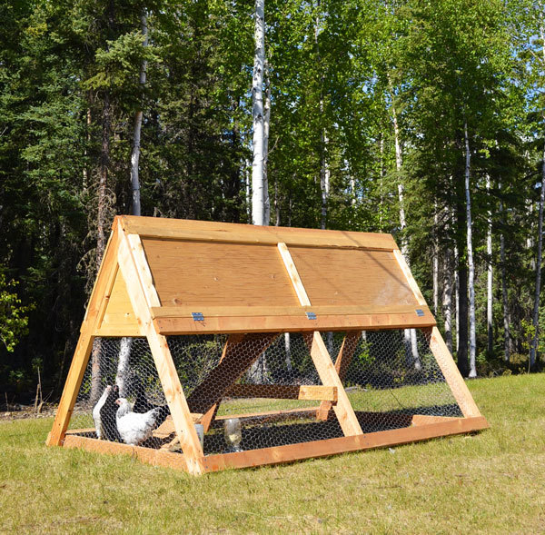 How to build A Frame Chicken Coop! Free plans from Ana-White.com! DIY 