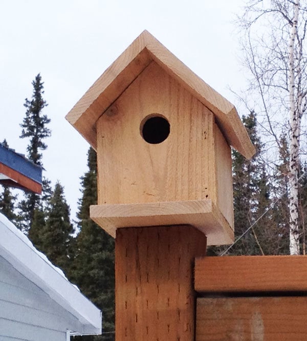 birdhouse on fence post