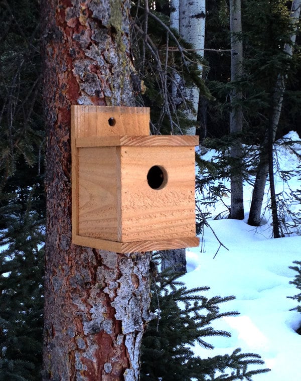 free plans to build a modern birdhouse from a cedar fence picket make 