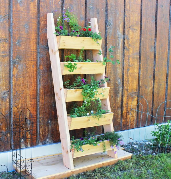 Garden boxes in a ladder arrangement with green plants
