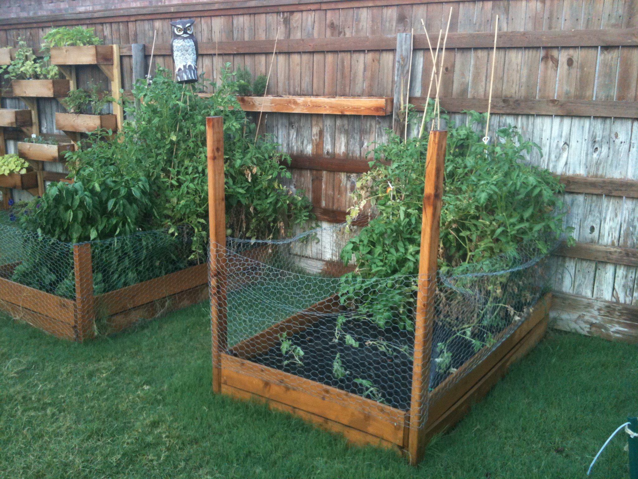 Vegetable Garden Ideas For Small Backyards - Ztil News