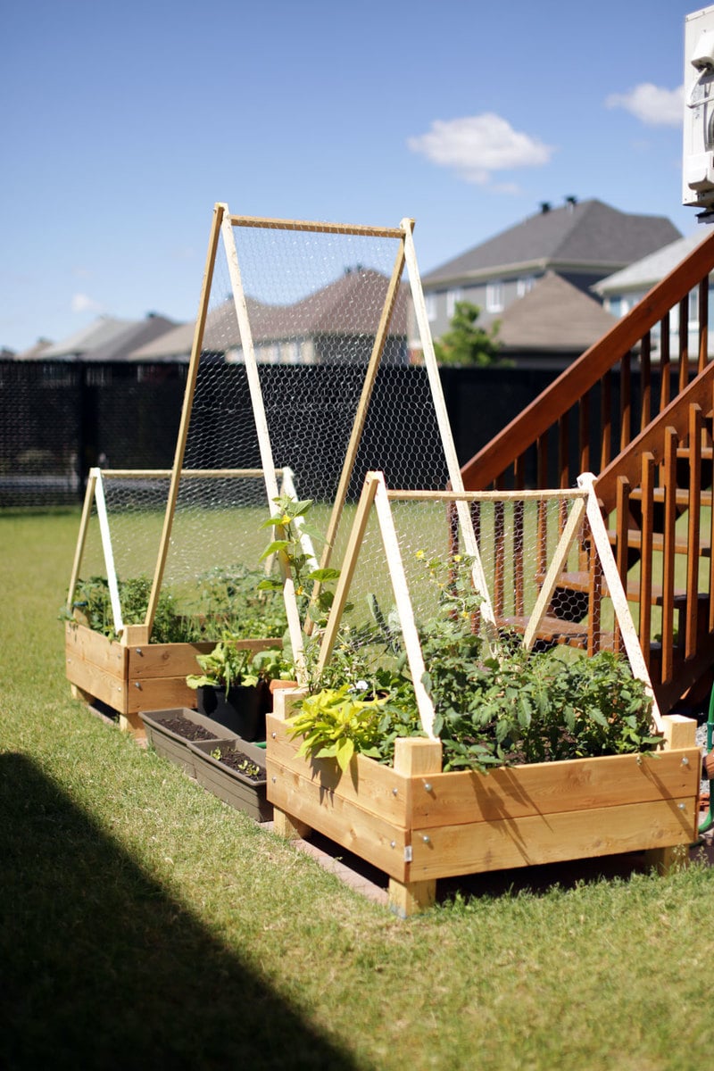 Ana White | DIY Garden Box with Trellis - DIY Projects