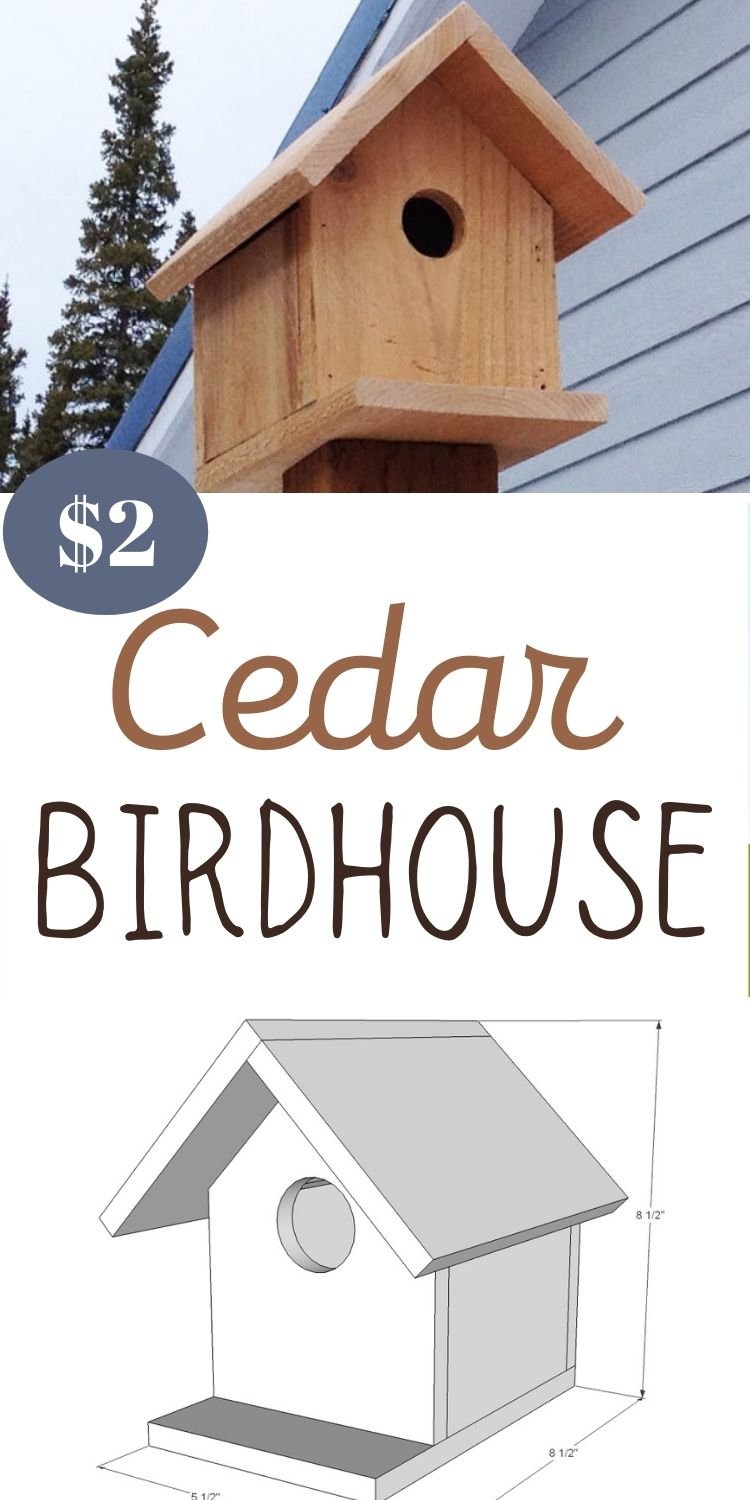 Build a Cedar Birdhouse for $2