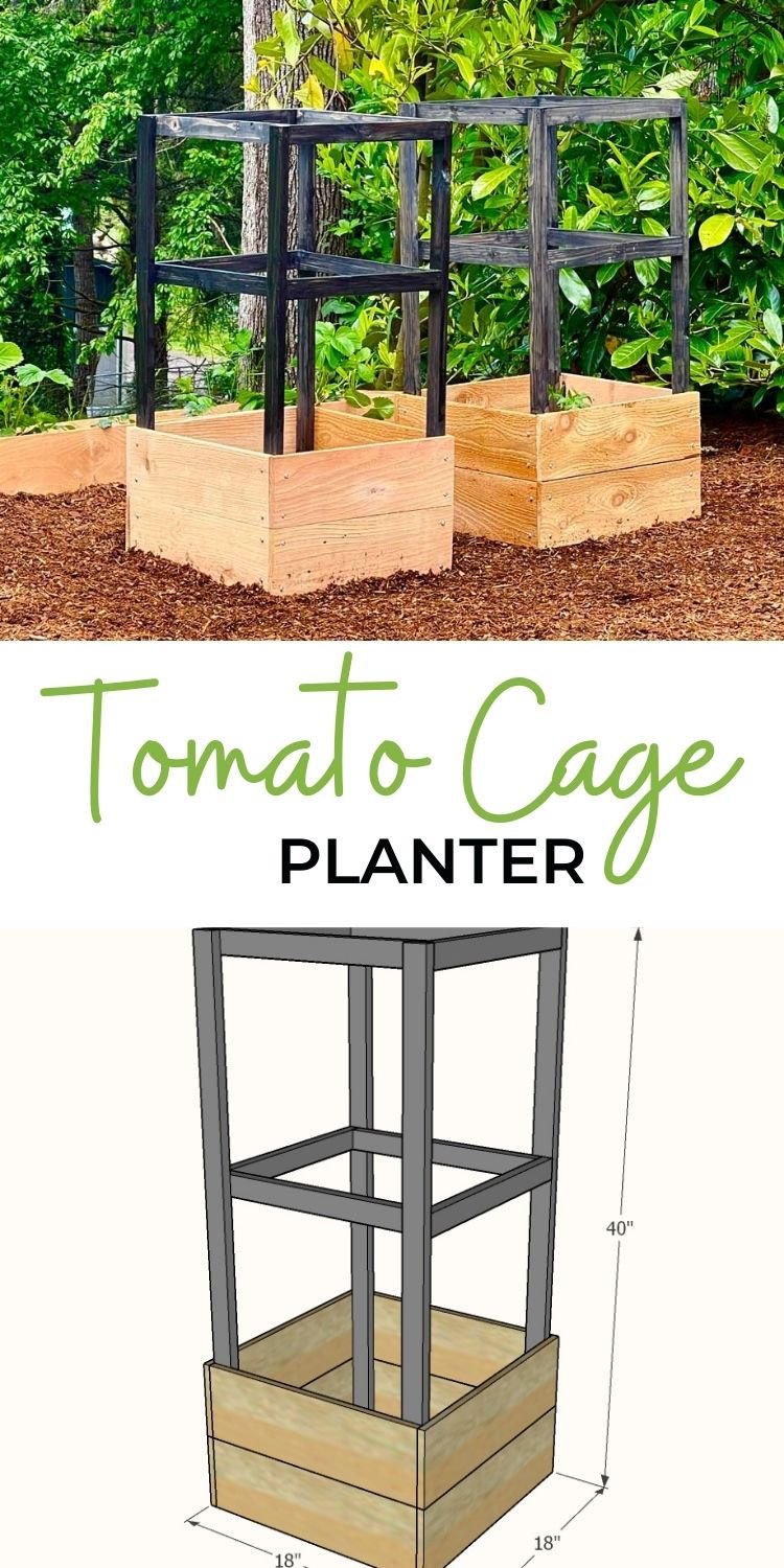 Tomato Cage Planter