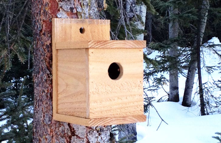 modern birdhouse woodworking plan built