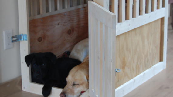 diy wood pet kennel