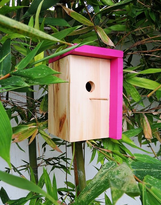 modern bird feeder