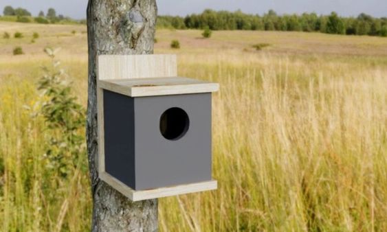 modern cedar bird feeder
