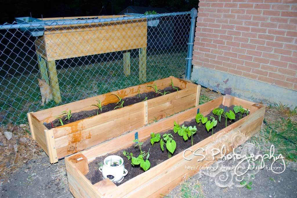 Raised Garden Bed Variations | Ana White