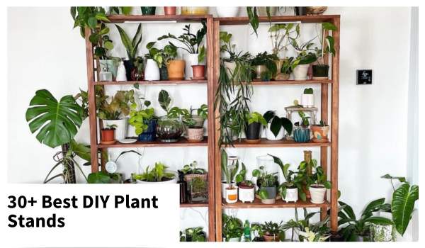 plant stands plant shelves plant display diy plant stands