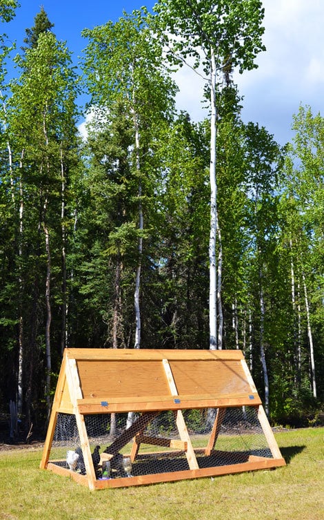 A Frame Chicken Coop Ana White