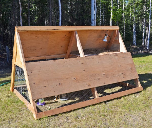 a frame chicken coop inside flipped down door