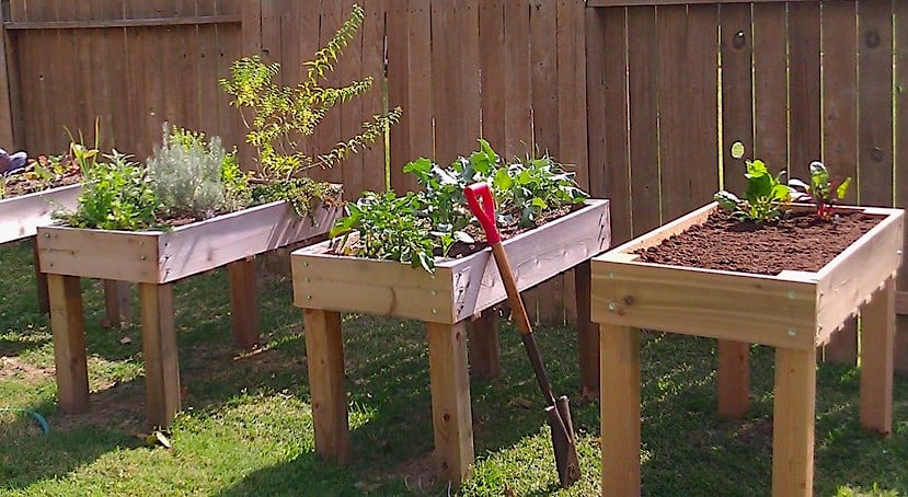 Elevated Planter Box, 2' x 4