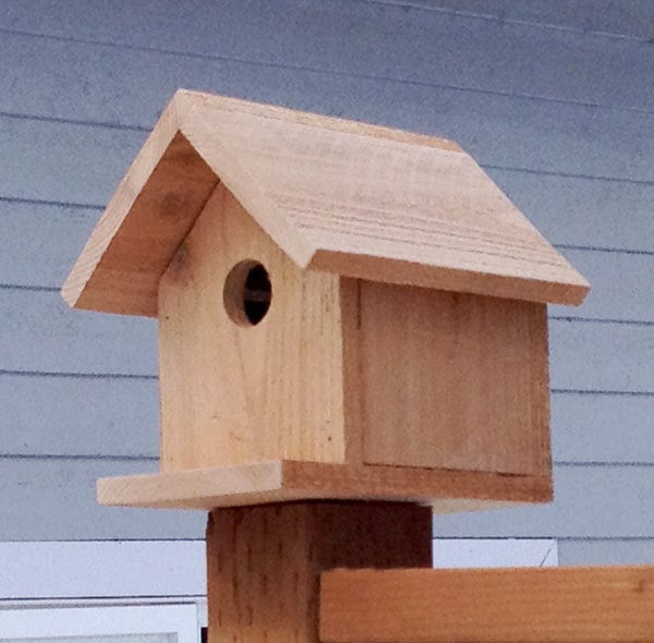 Birdhouse woodworking kits