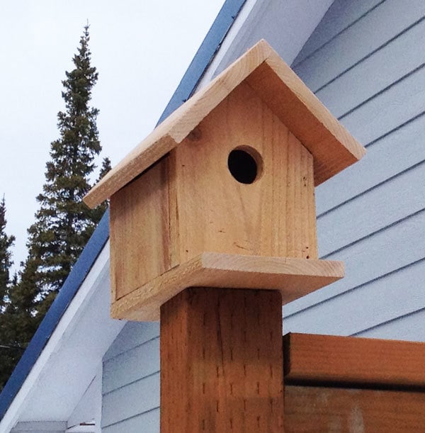 Build A One Board Diy Birdhouse