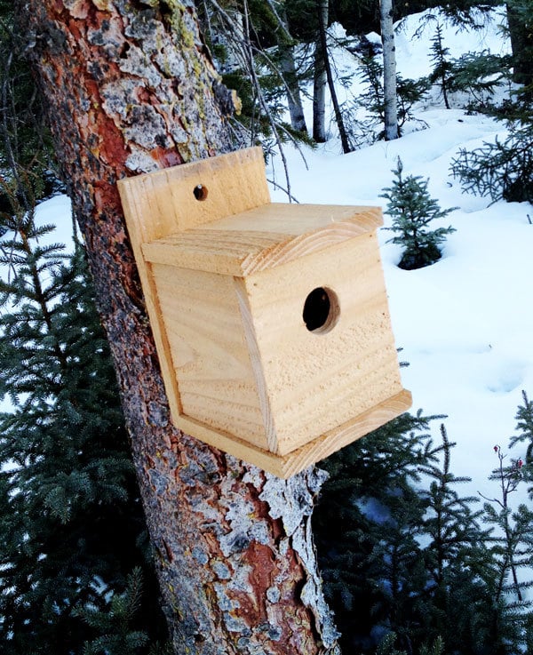 modern cedar birdhouse on tree