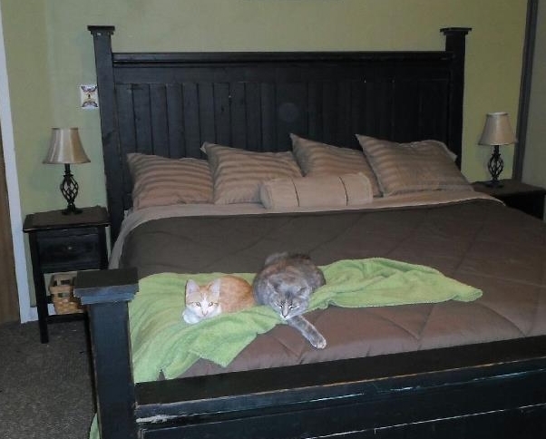 Black farmhouse clearance king bed