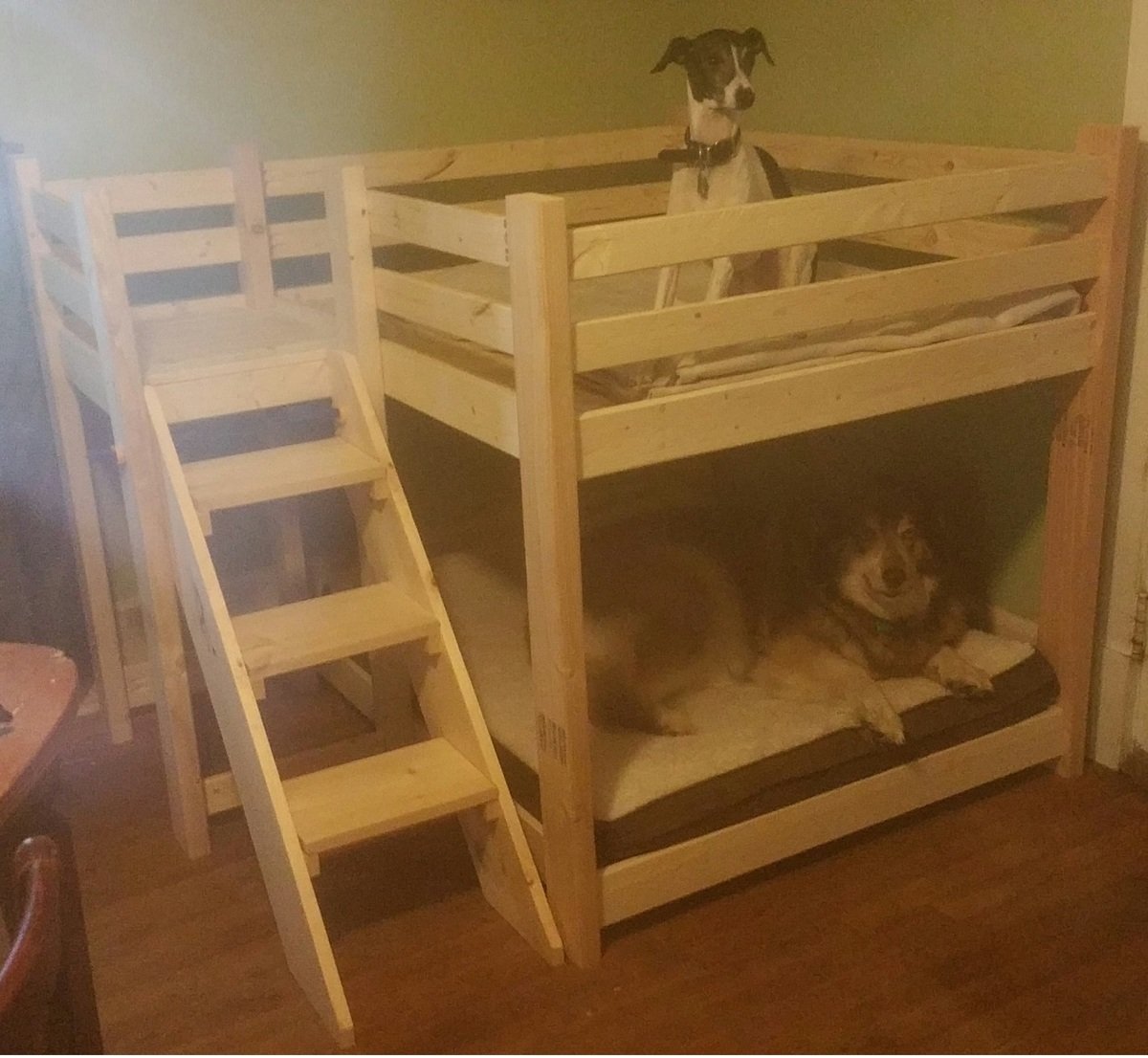 huge bunk beds