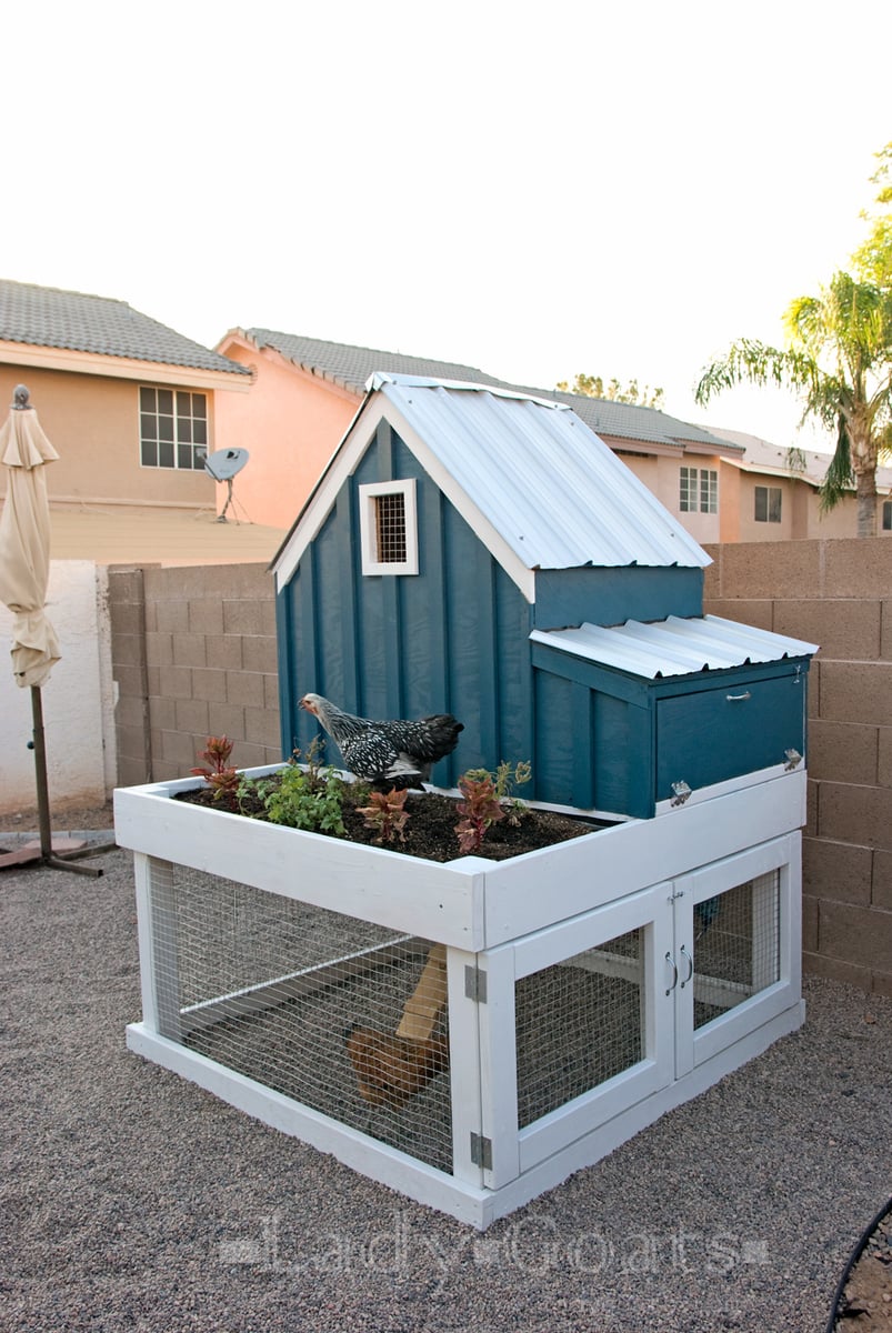 chicken coop 