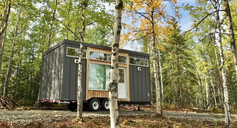 ana white tiny house in birch forest