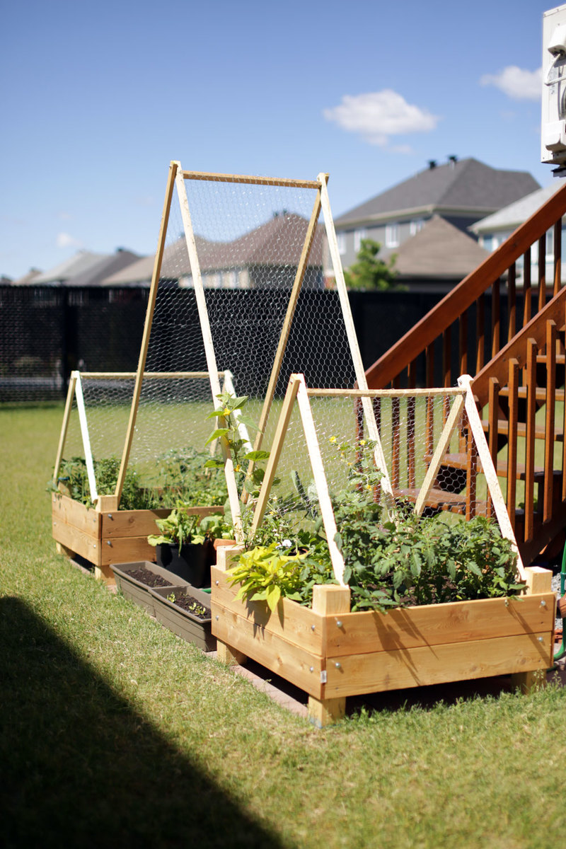 garden trellis diy box bed raised ana boxes beds build projects tiered gardening idea plans plan yourself roof built source
