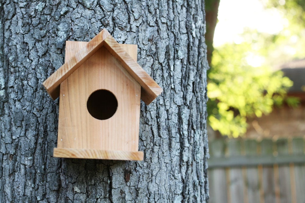 BIRD HOUSE DIY BIRD HOUSE CEDAR BIRD HOUSE