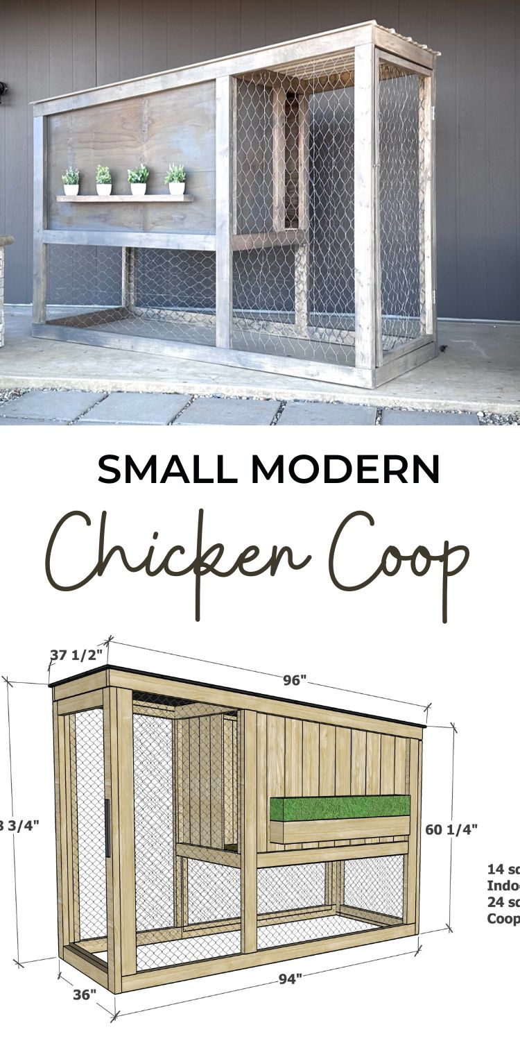 Small Modern Chicken Coop