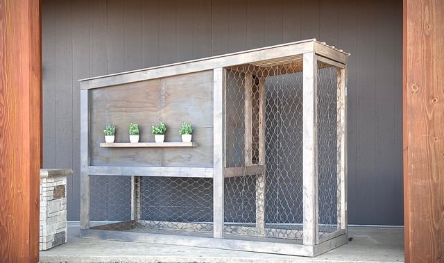 modern chicken coop