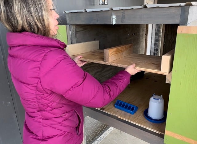 chicken coop cleanout