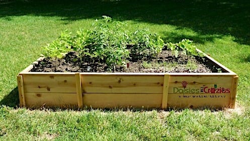 double width diy garden bed