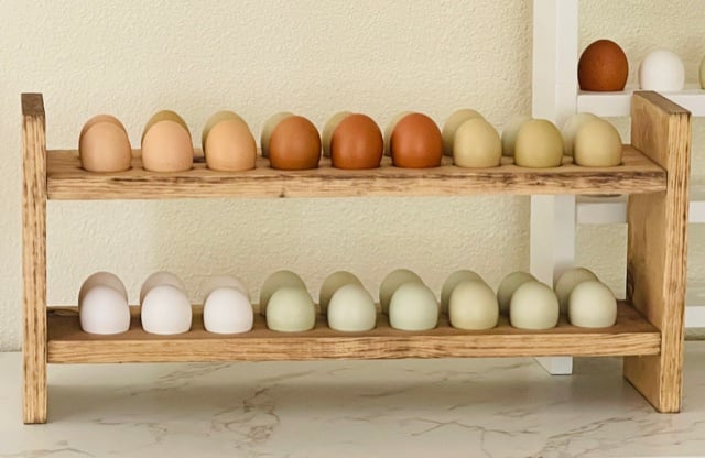 countertop egg storage