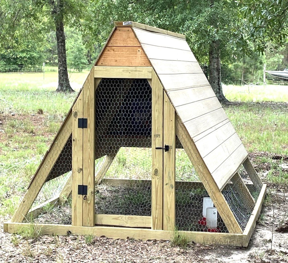 a frame chicken coop