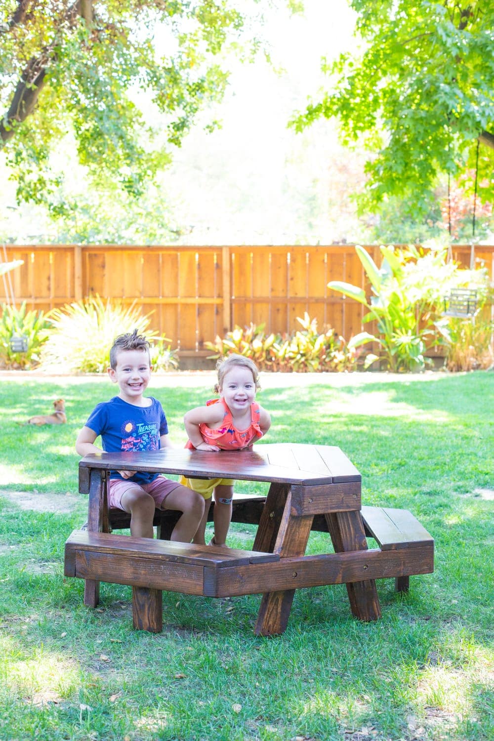 modern kids picnic table