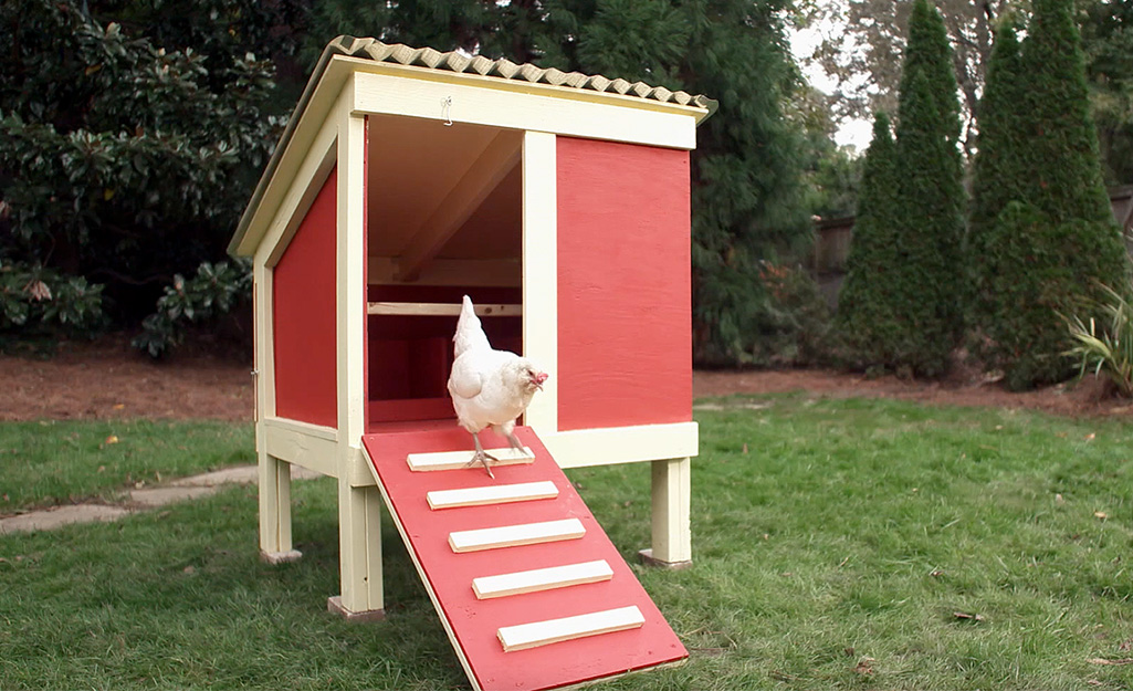 small chicken coop