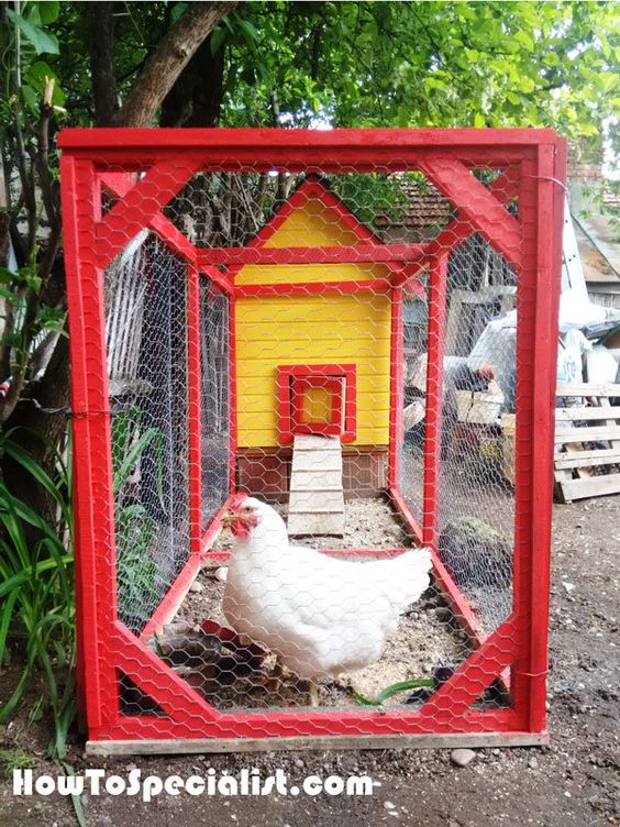 insulated chicken coop