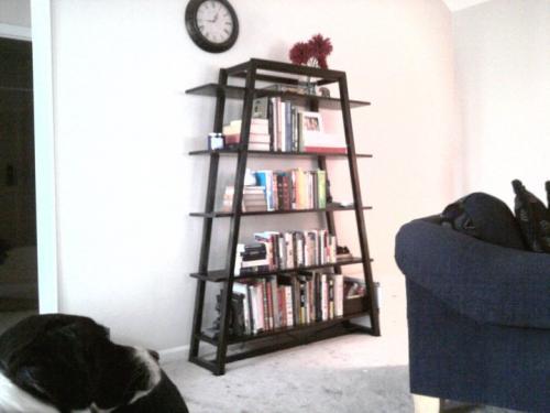 ladder bookshelf