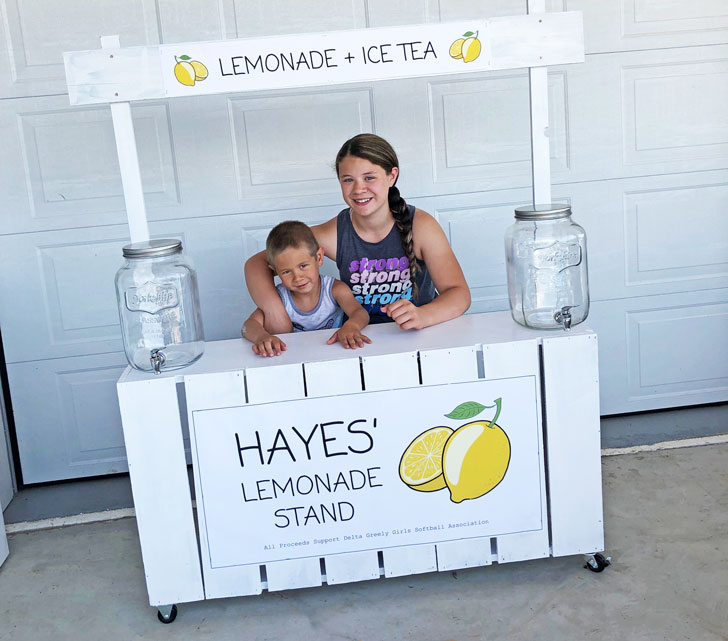 easy build lemonade stand