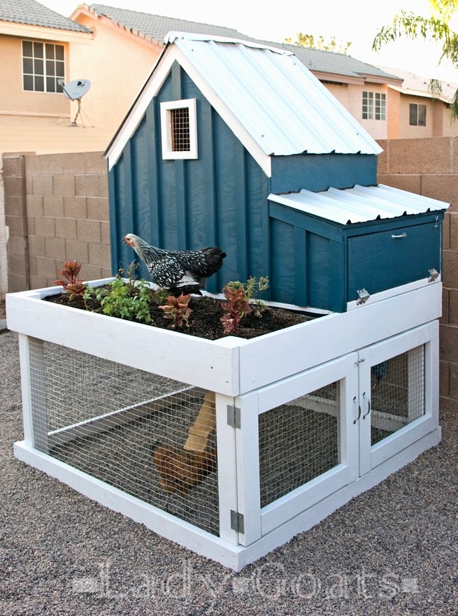 small chicken coop with planter