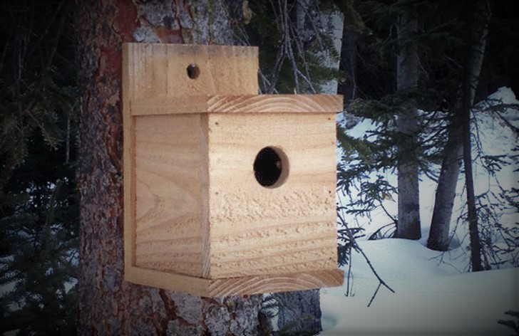 diy birdhouse kit