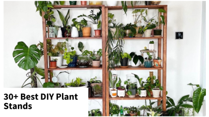 plant stands plant shelves plant display diy plant stands