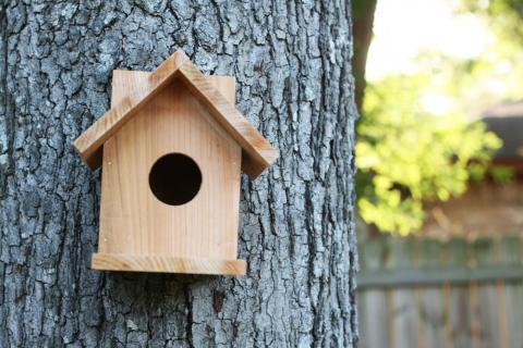 Two Story 3-Hole Bird House Kit 