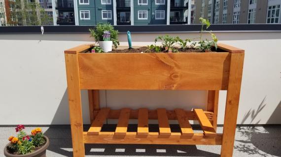 raised wood planter box