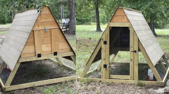 best a frame chicken coop plans