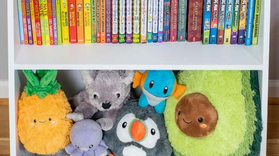 small bookshelf with books and stuffed animals