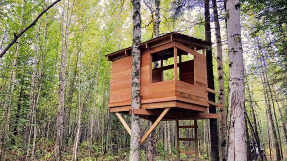 modern kids treehouse