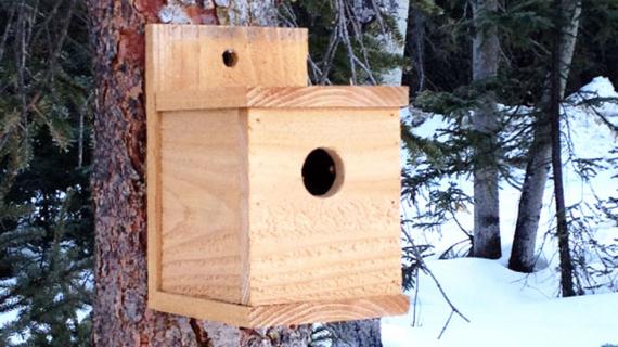 modern cedar birdhouse plans